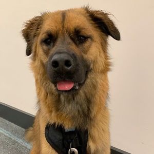 Meet your Posher, Caroline